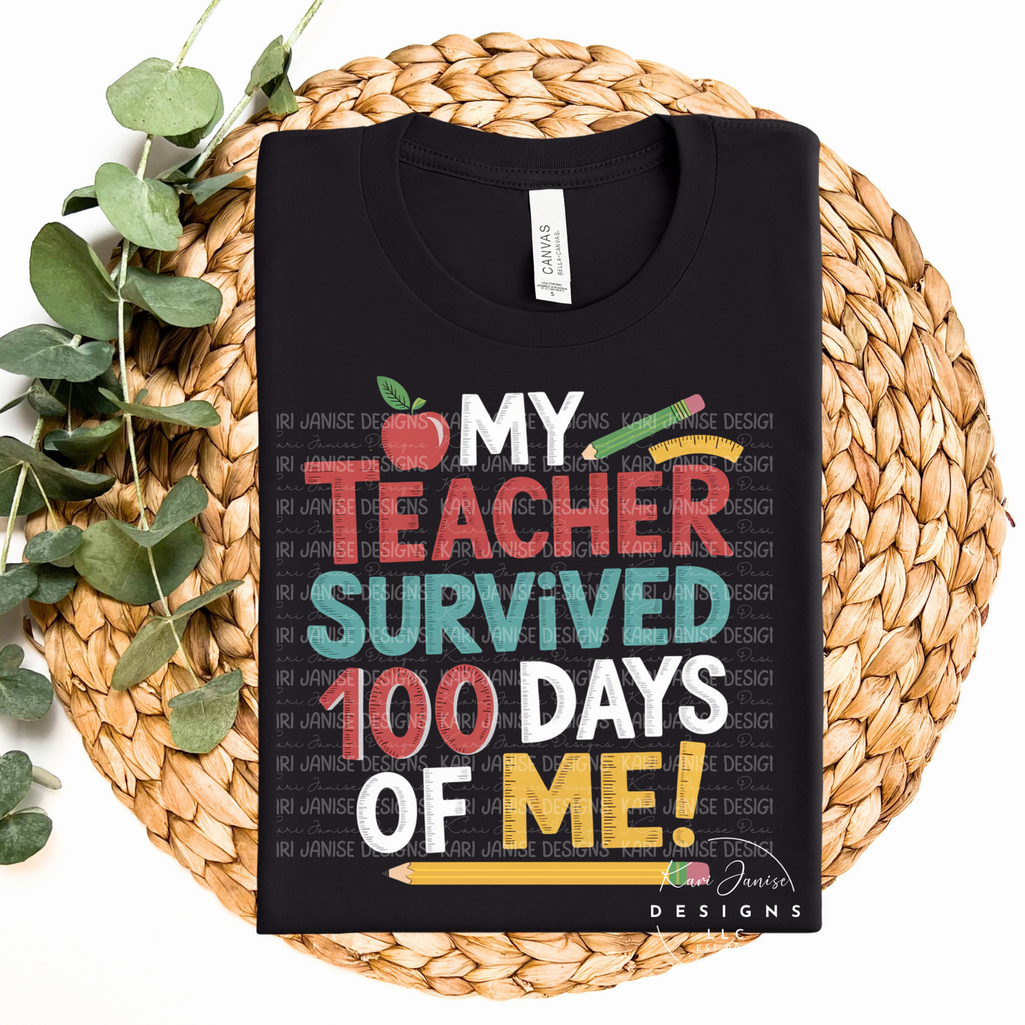 My Teacher Survived 100 Days of Me