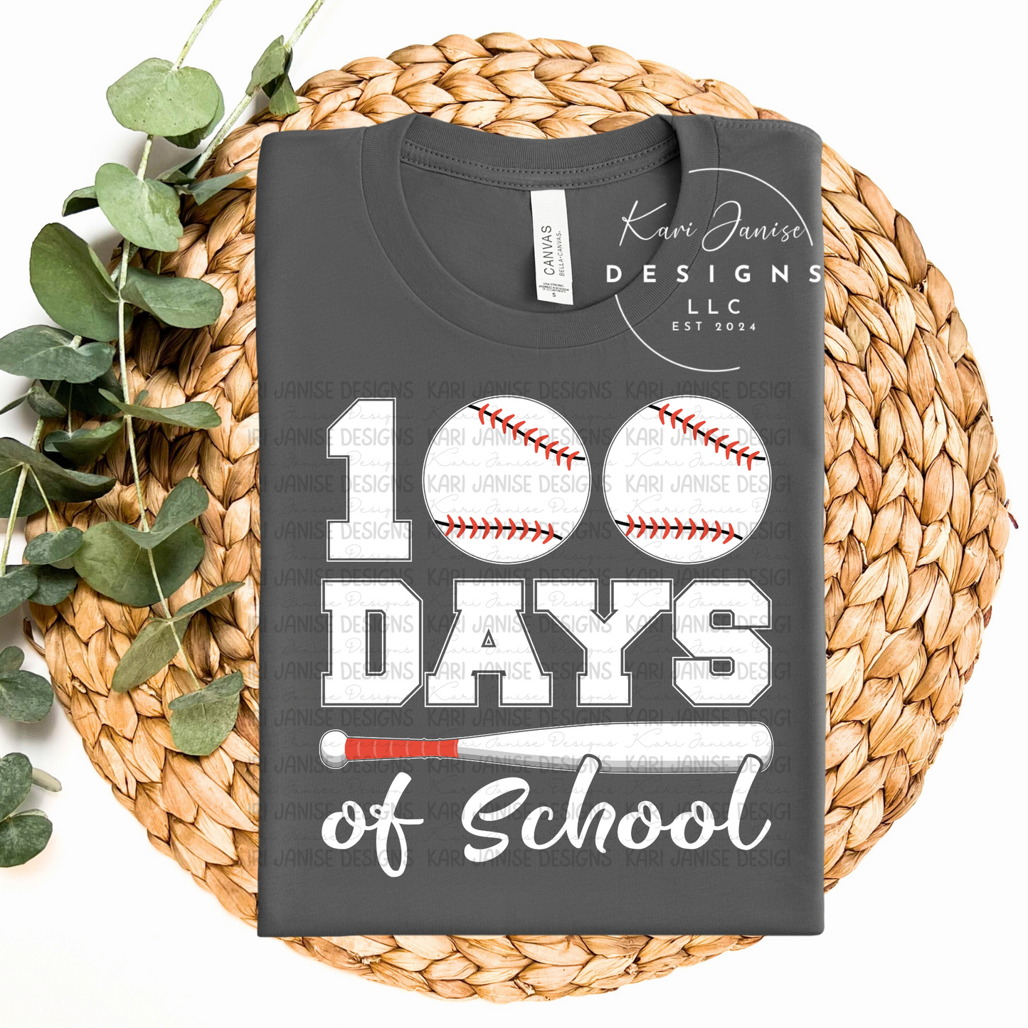Baseball 100 Days