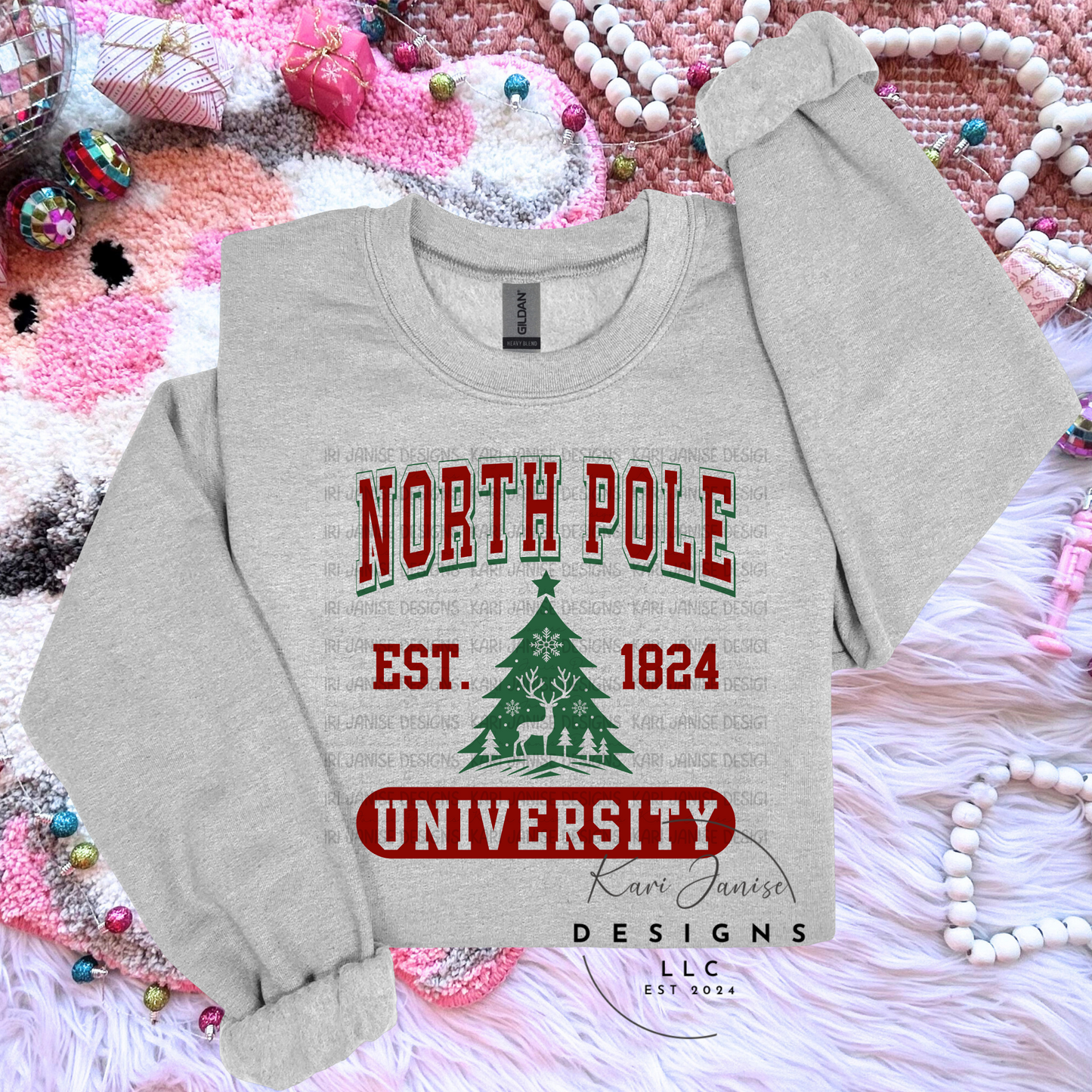 North Pole Univeraity